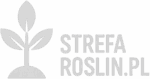 Strefa Roślin – Blog